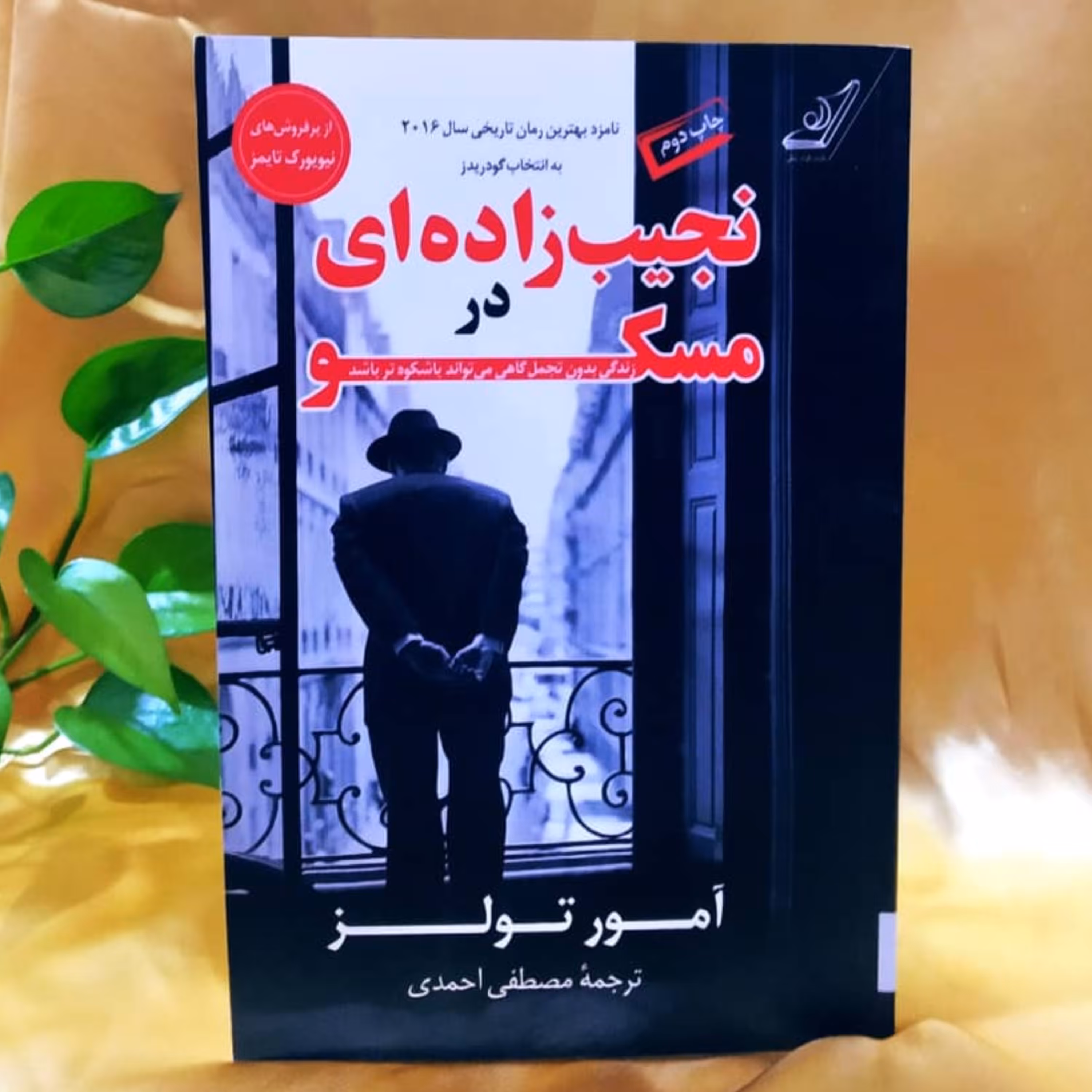 کتاب نجیب زاده ای در مسکو امور تولز ترجمه مصطفی احمدی