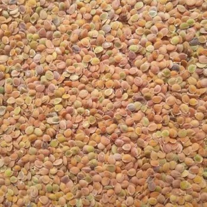قدومه شیرازی اصلی خالص بدون خاکه و چوب 200 گرمی 