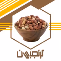 بادام زمینی (شامی شور سنتی) (500گرم)ترنجبین