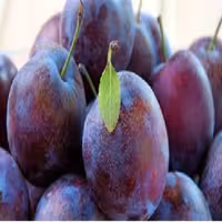 اسانس مایع خوراکی آلو سیاه برند آلمانی در بسته 200 گرمی