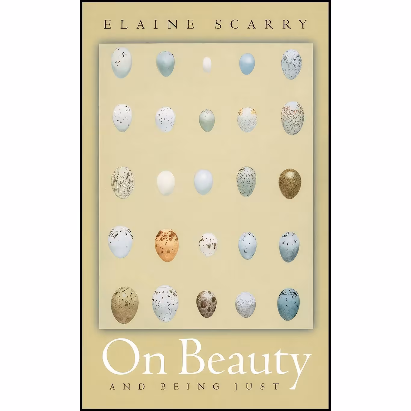 کتاب زبان اصلی On Beauty and Being Just اثر Elaine Scarry
