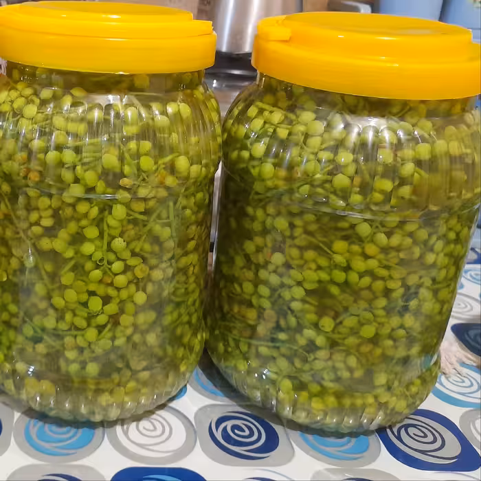 ترشی بنه شک(بنه نارَس) (پسته کوهی) تُرد خوشمزه تهیه شده با ابغوره محلی خانگی 