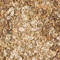 گلپر کوهی 5ستاره فدک