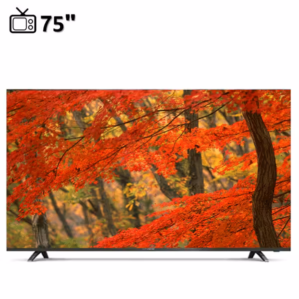 تلویزیون ال ای دی هوشمند دوو 75 اینچ مدل DSL-75SU1800