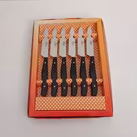 چاقو میوه خوری استیل صادقی 6 عددی دسته فیبر سیاه رنگ