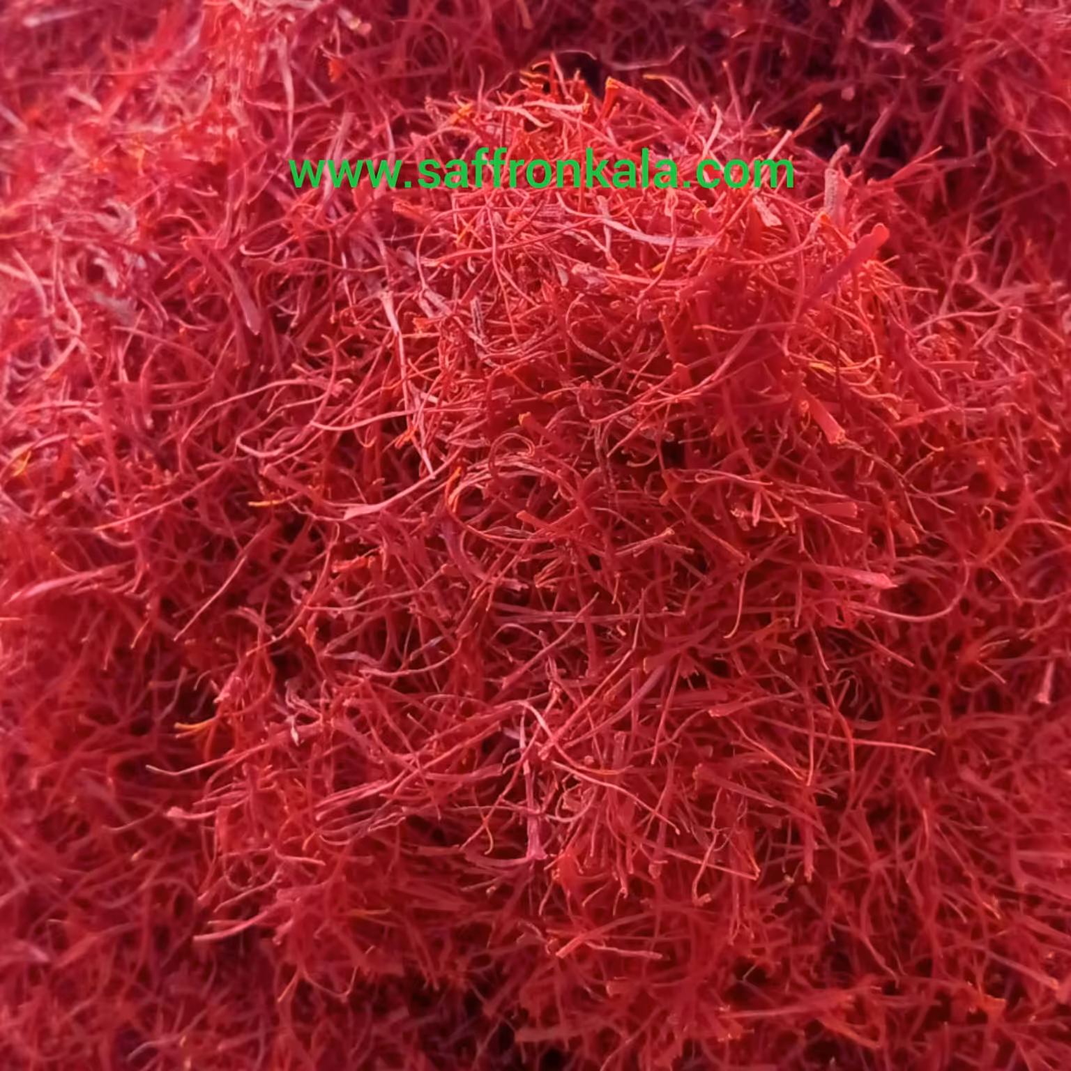 زعفران قائنات 