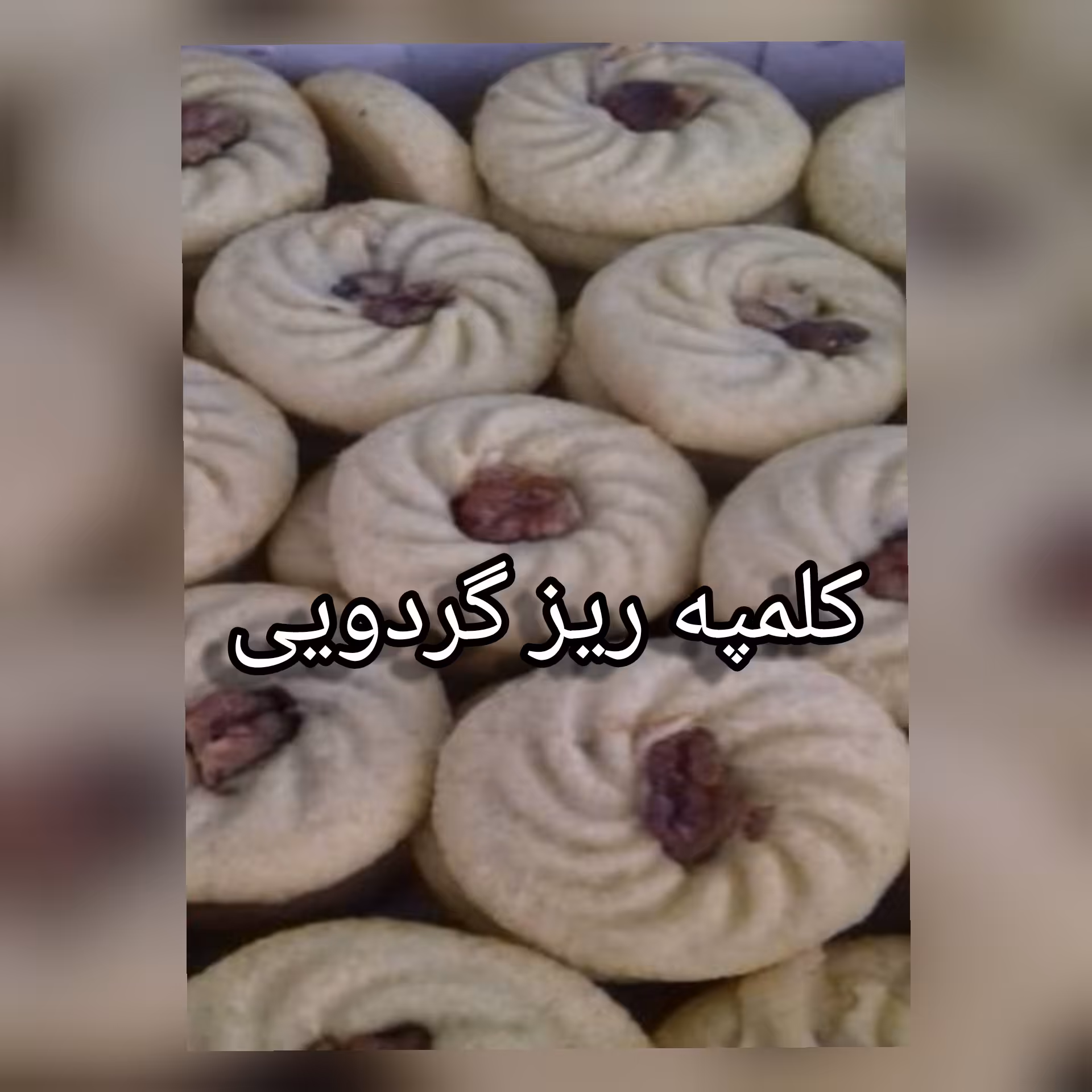 کلمپه ریز گردویی