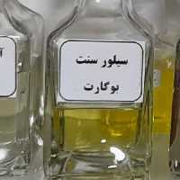 عطر سیلور سنت بوگارت 10گرمی 