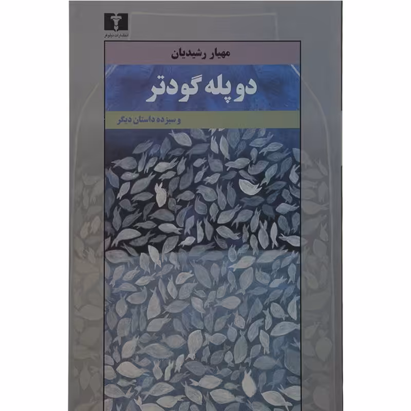 کتاب دو پله گودتر اثر مهیار رشیدیان نشر نیلوفر