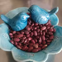 لوبیا قرمز محلی بدون کود  - 500 گرمی