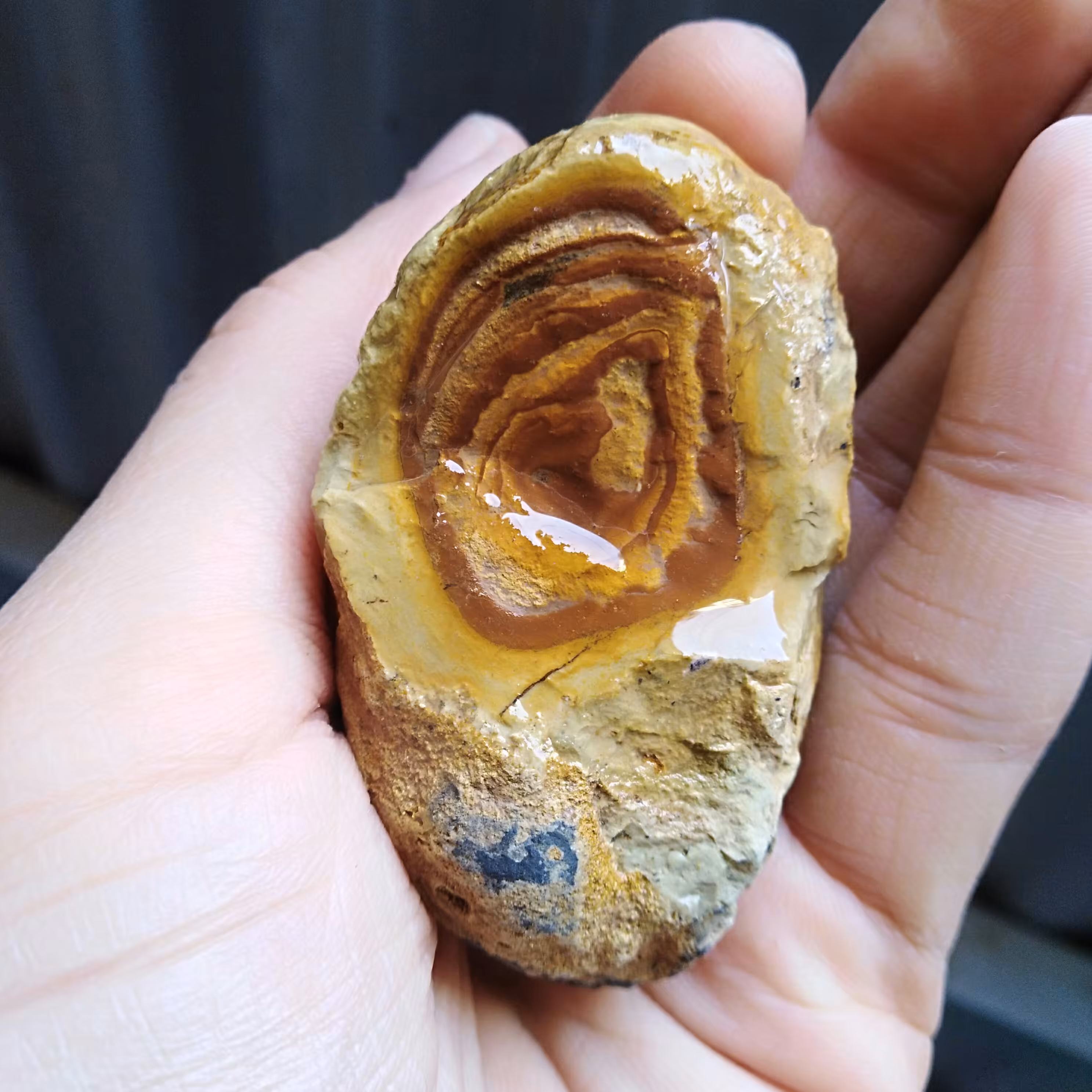 راف جاسپر پیکچر محشر کاملا طبیعی