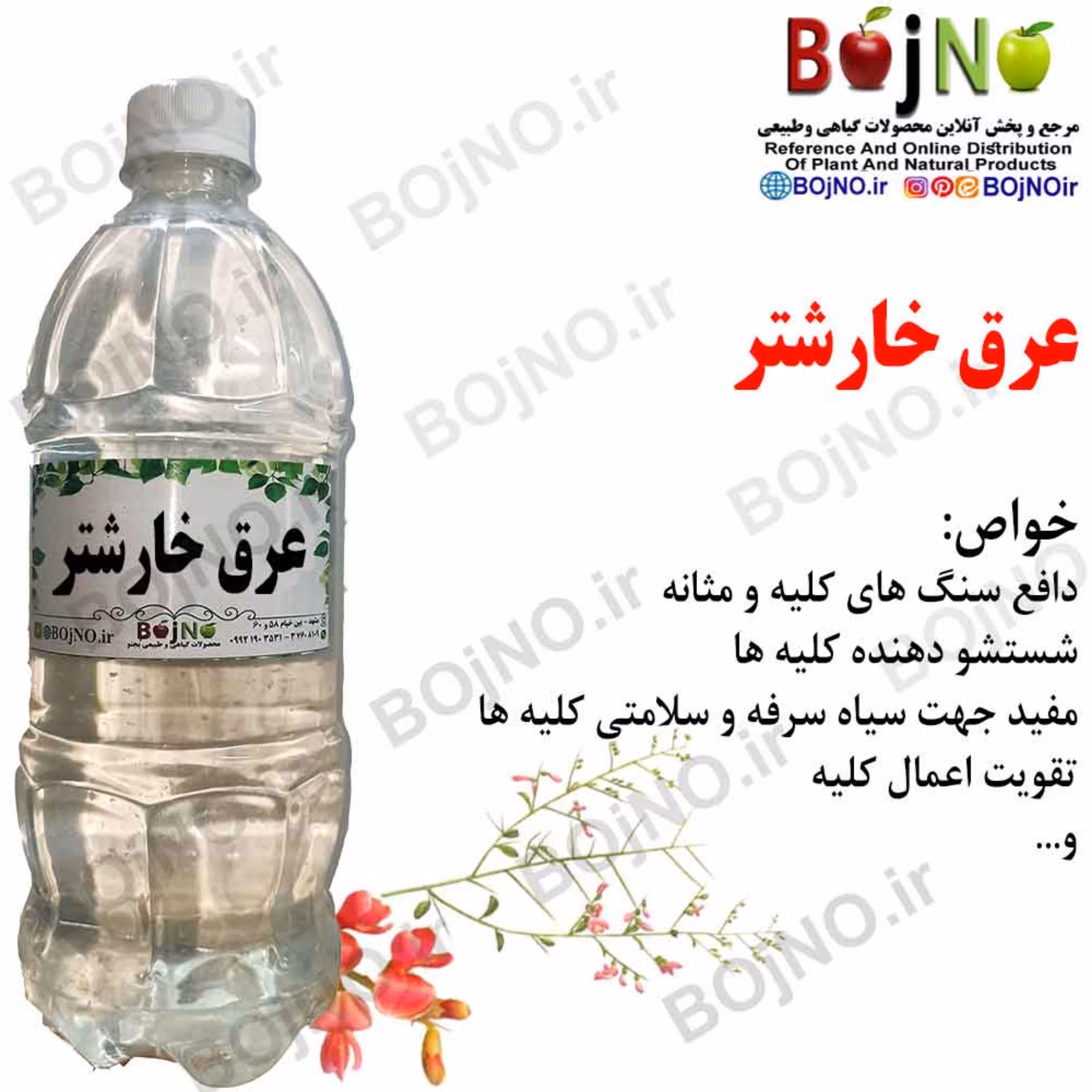 عرق خارشتر سنتی بجنو (آب چشمه)