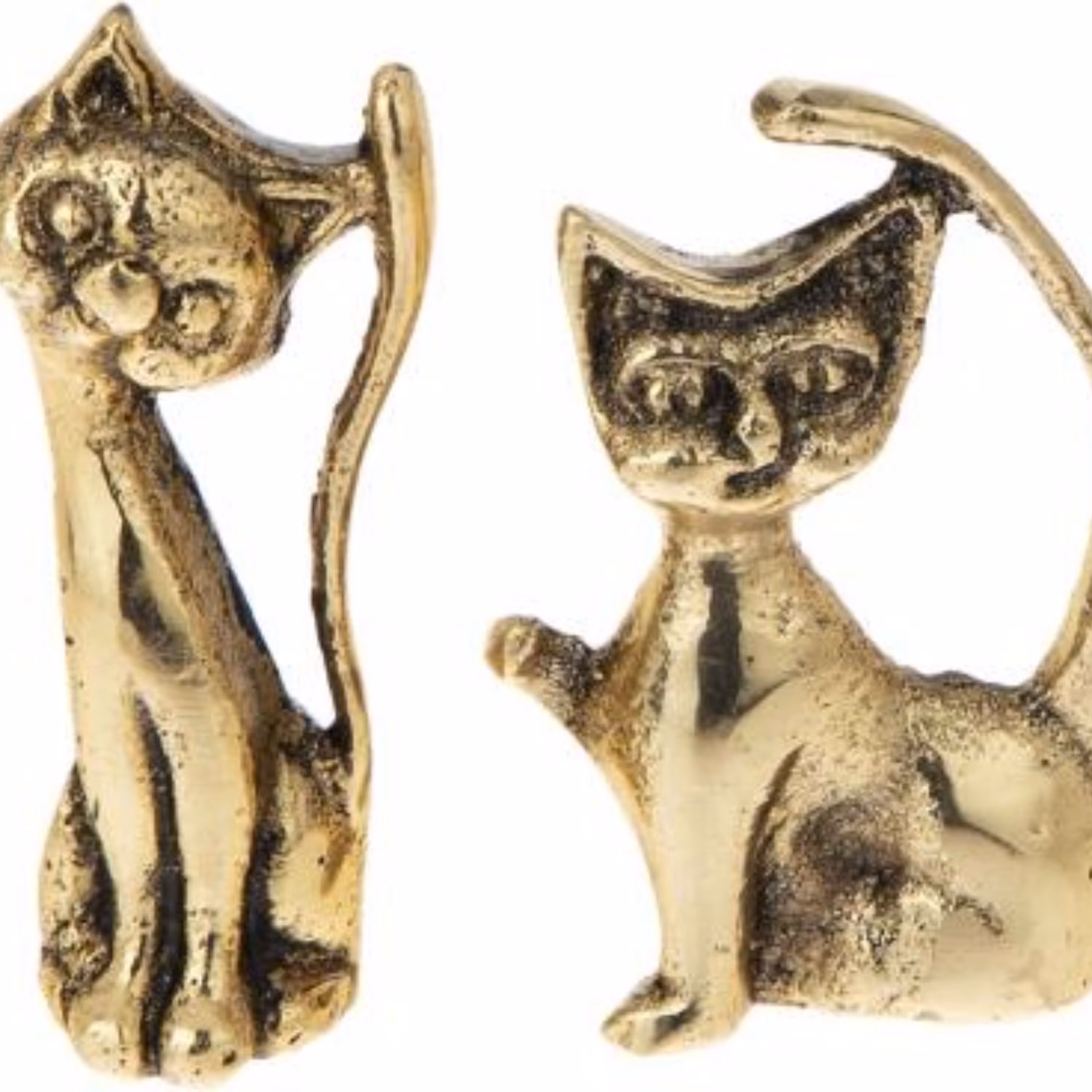 گربه برنز جفتی توپر