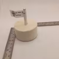 نمدانگشتی دنباله 6