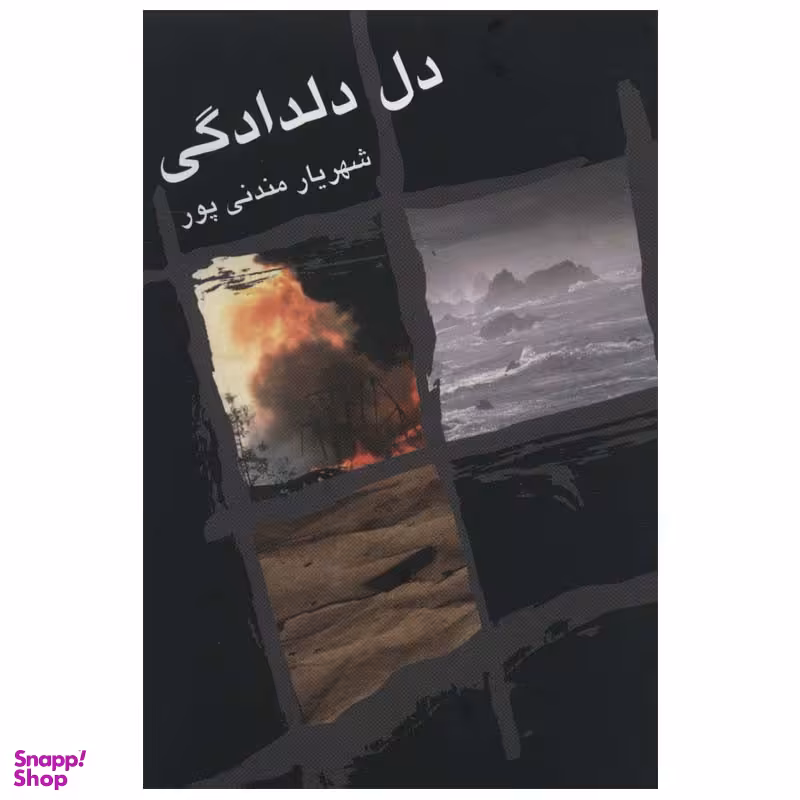 کتاب دل دلدادگی اثر شهریار مندنی پور انتشارات زریاب