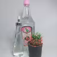 گلاب 18 عیار پژوهشکده طب شیعی 