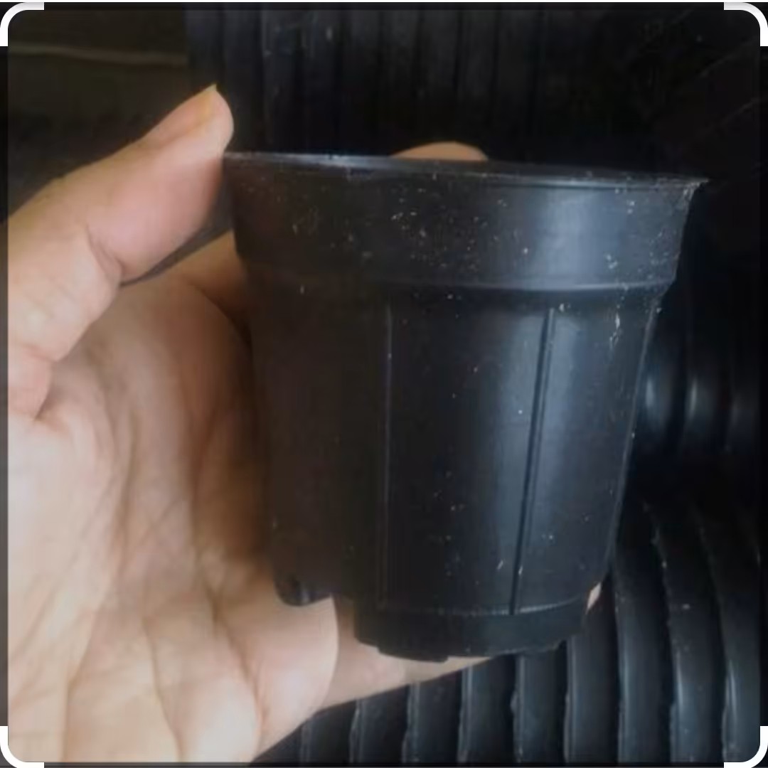 گلدان مشکی پلاستیکی سایز 8 بسته 5 عددی  ( ارتفاع 7 و دهانه 8 سانتیمتر ) 