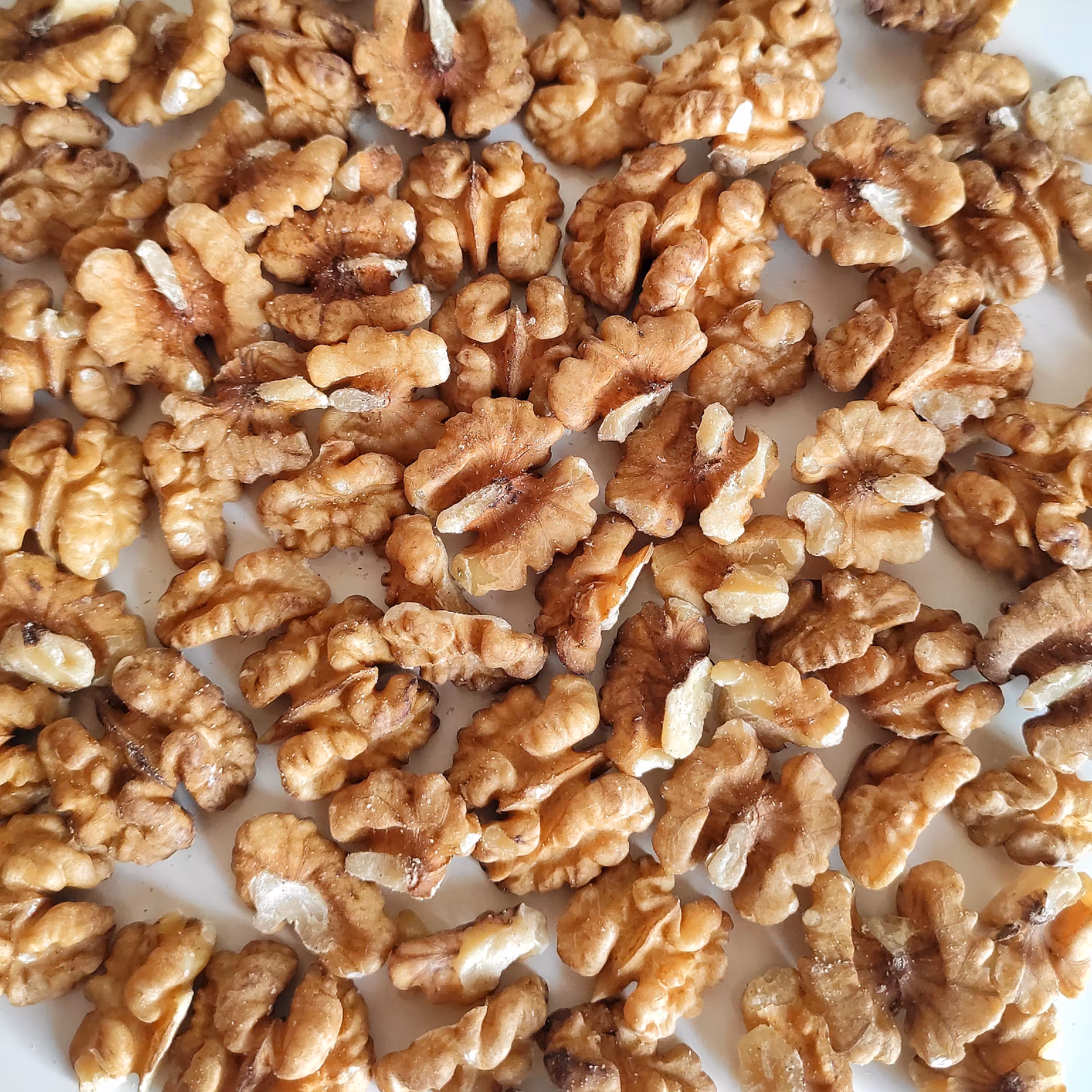 مغز گردو صبحانه ایرانی پرچرب امساله تویسرکان