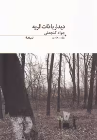 کتاب پازل شعر امروز 96 دیدار با ذات الریه