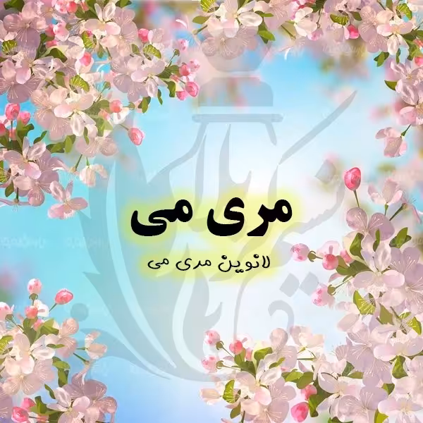 عطر مری می لانوین درجه یک با پخش بوی عالی(یک گرم)