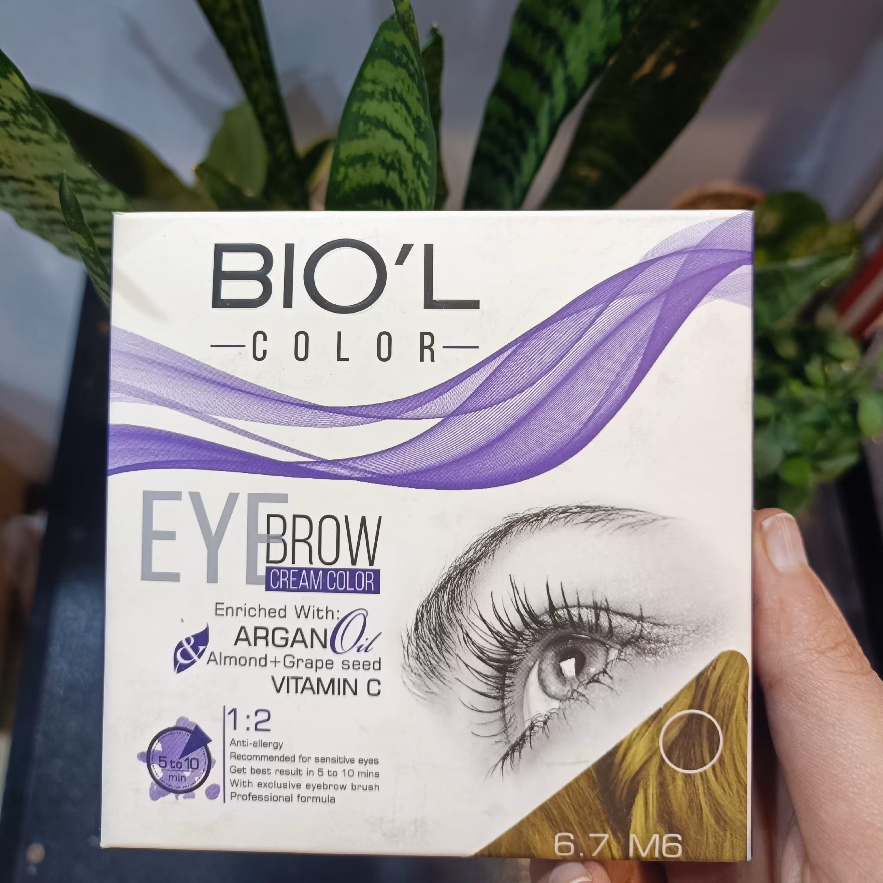 کیت رنگ ابرو بیول رنگ شماره 6 زیتونی