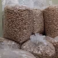 بادام زمینی روغن گیری و کره گیری