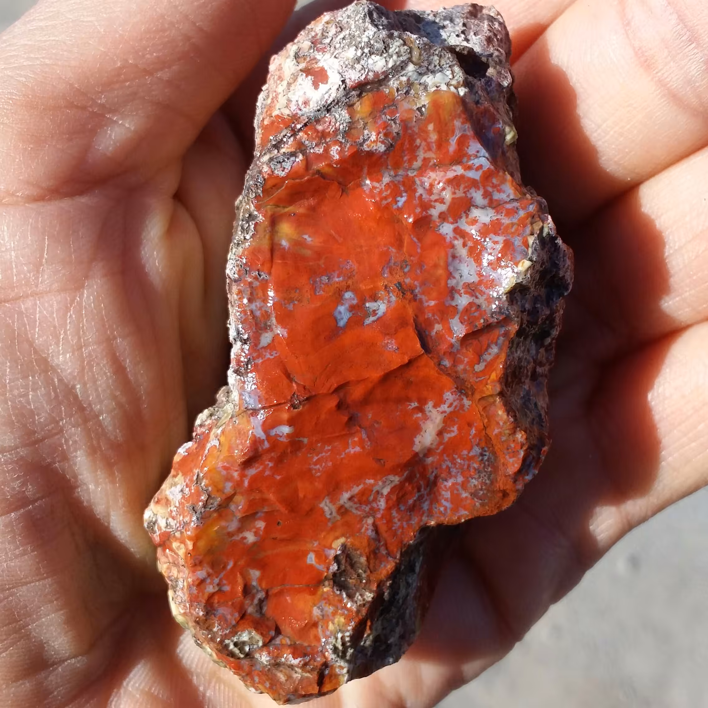 سنگ راف جاسپر منظره سرخ یا جاسپر خون 100 در 100 طبیعی خاص بی نظیر خارق العاده
