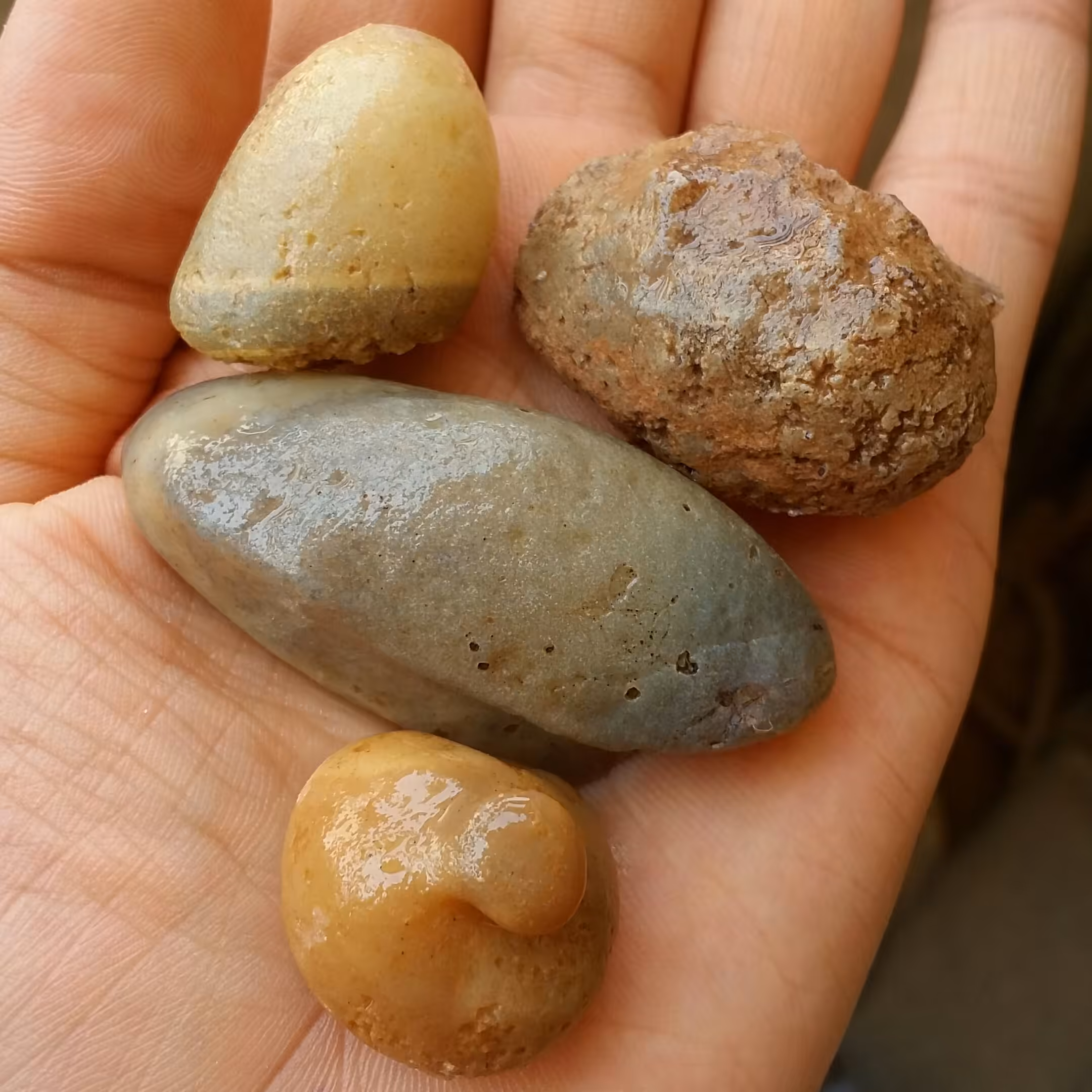 مجموعه 4 عددی سنگ راف خام عقیق نقلی برش نخورده 100 در صد طبیعی سرشااار از خواص شاهکار خلقت
با قابلیت ساخت چند نگین 