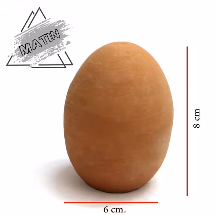 تخم غاز سفالی