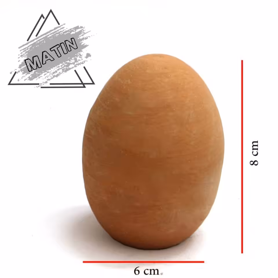 تخم غاز سفالی