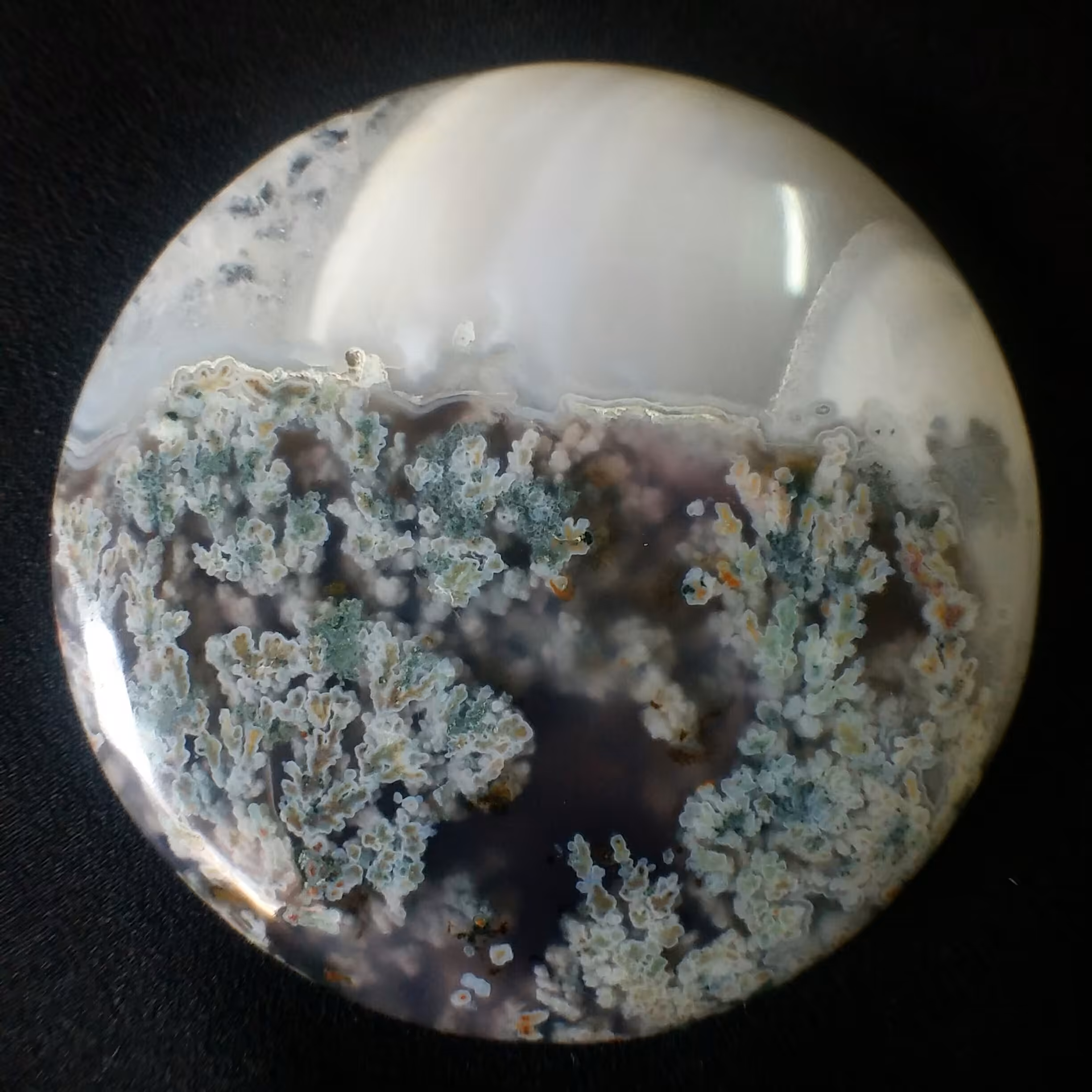 نگین شجر شکوفه هفت رنگ شاهکار خلقت بی نظیر و خوش رنگ تراش گرد پولیش ایینه ای