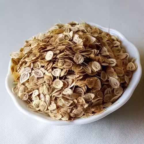 گلپر امساله طالقان ارسال رایگان