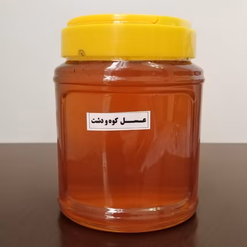 عسل کوه و دشت طبیعی ( 1 کیلو )