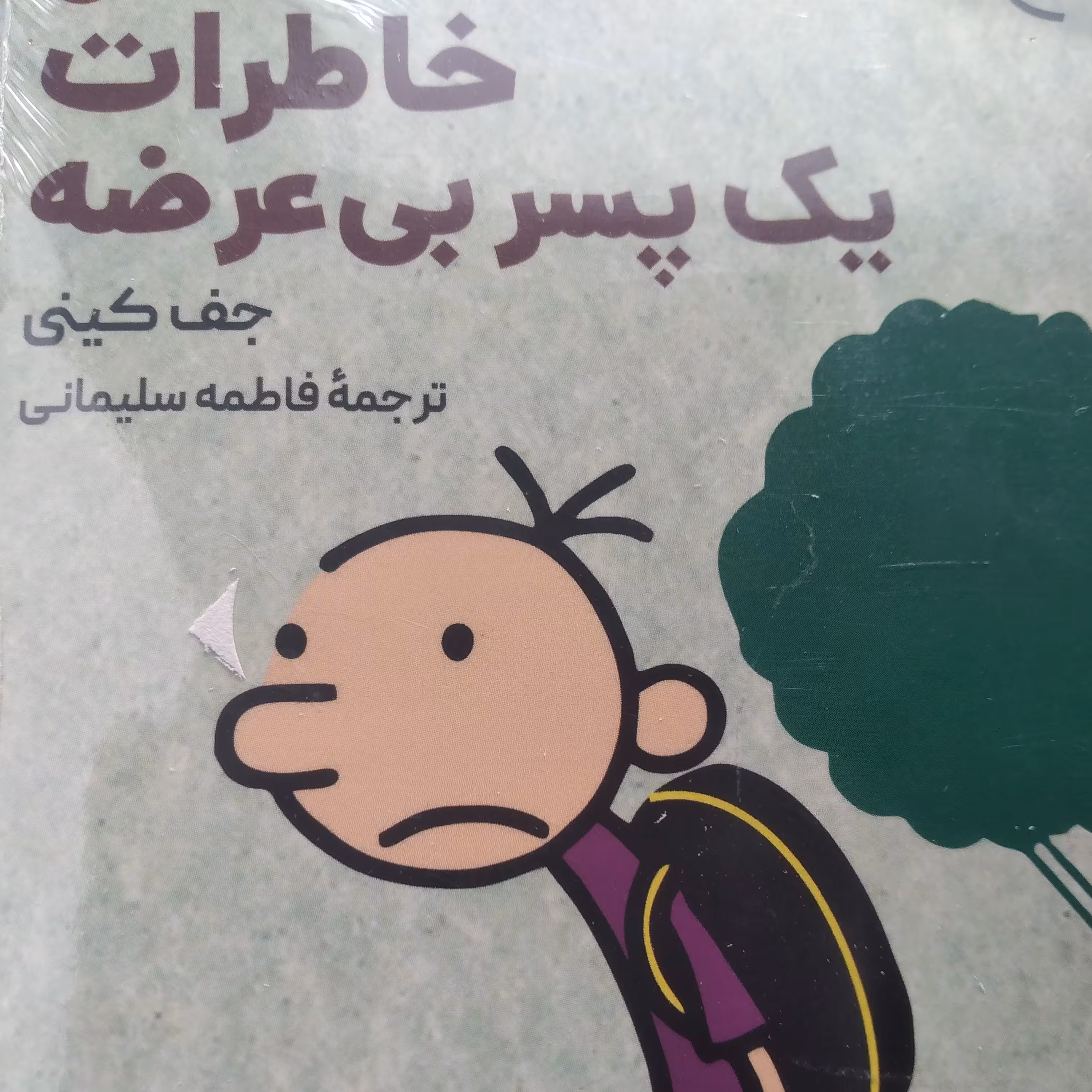 کتاب خاطرات یک پسر بی عرضه