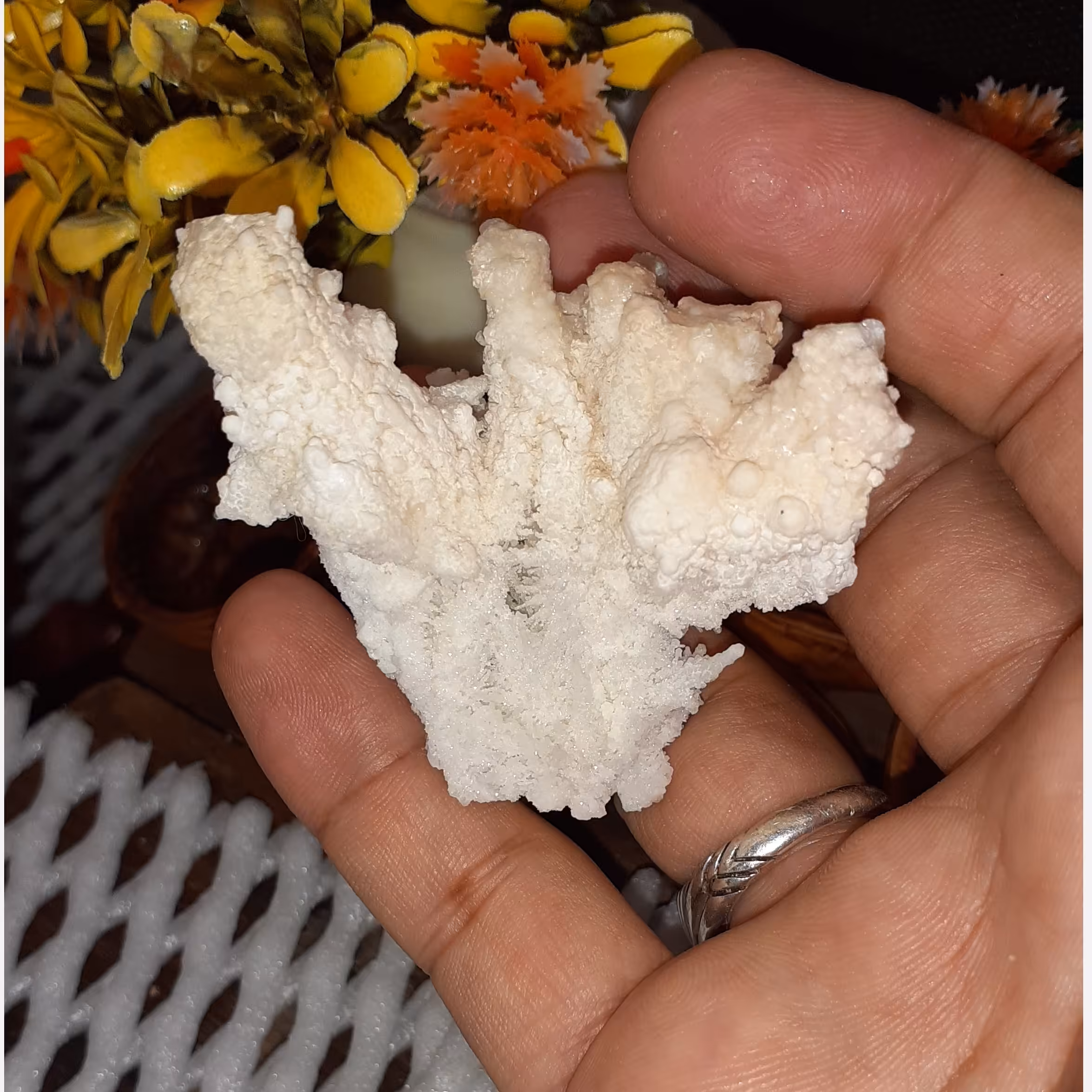 سنگ راف کلکسیونی آراگونیت سفید درختی 42 گرمی