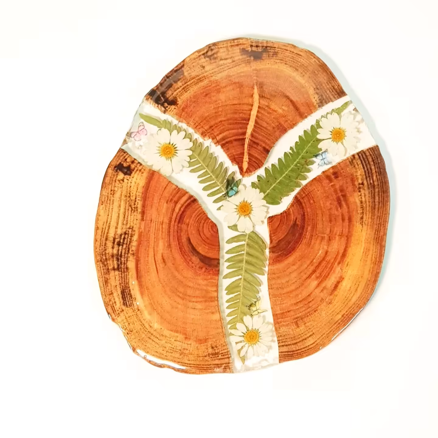 زیرلیوانی چوب کرات و رزین گل بابونه 2