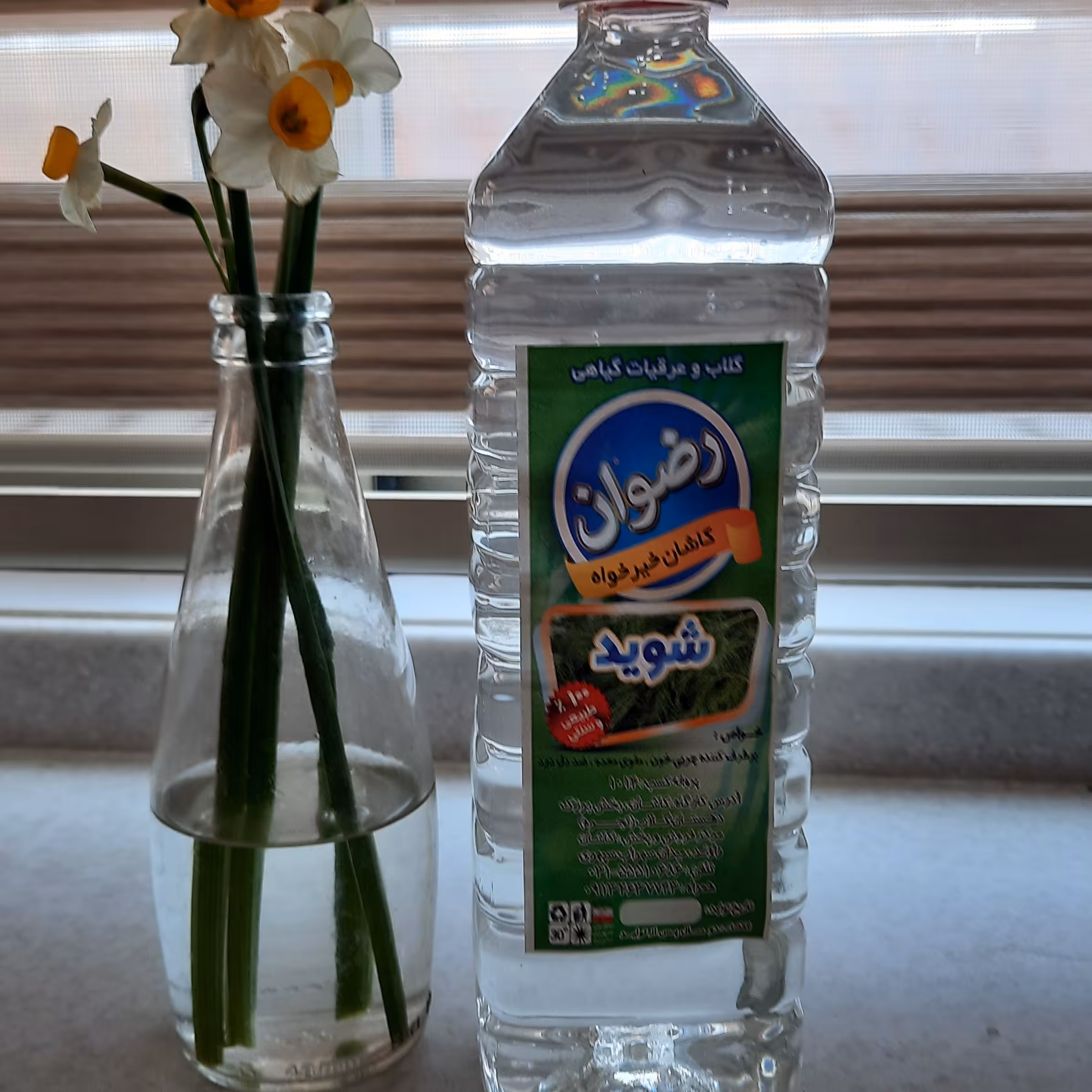 عرق شوید برای کاهش چربی وافزایش شیر