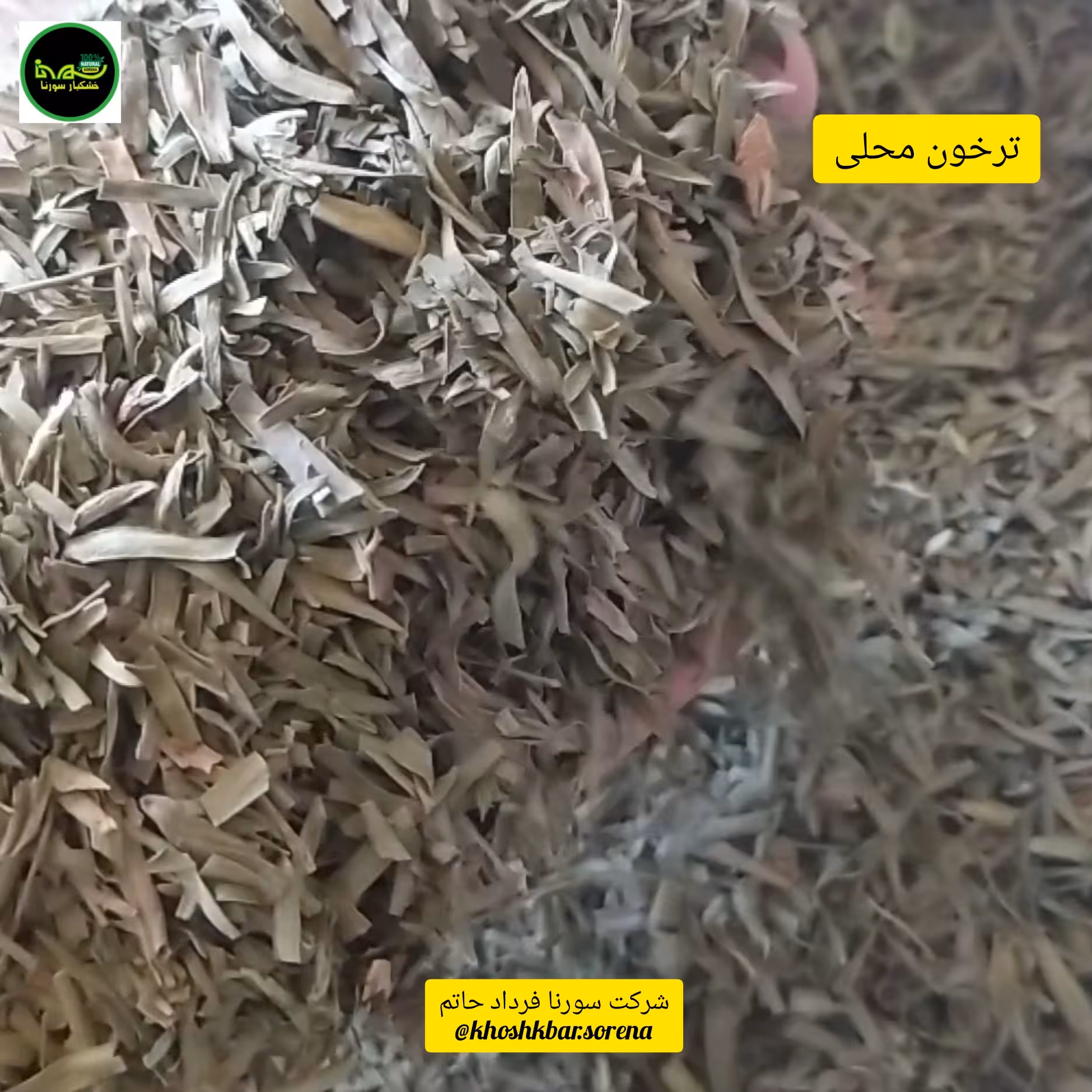 ترخون خشک سبز محلی درجه یک(مازندران،قائمشهر) در بسته بندی 750  گرمی