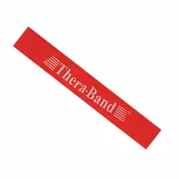 کش مینی لوپ تراباند مدل Mini2