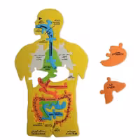 پازل اموزشی فومی بدن انسان