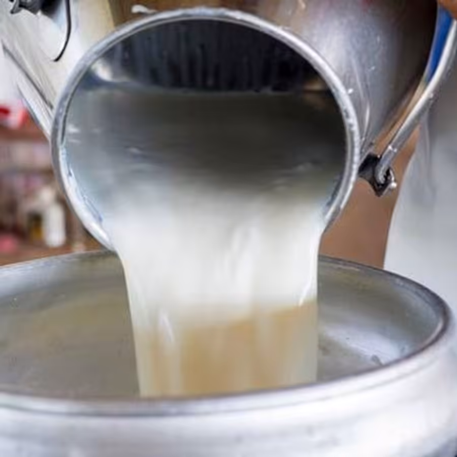 شیر خام گاو 2کیلویی 