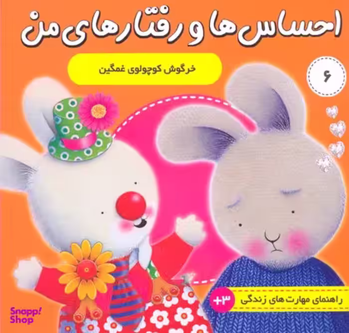 کتاب احساس ها و رفتارهای من 6 اثر تریسی مورونی انتشارات فرهنگ‌ و هنر