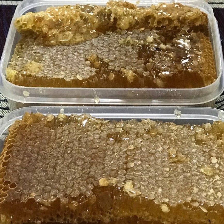 عسل طبیعی با موم طبیعی 