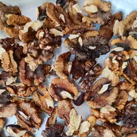 مغز گردو خورشتی