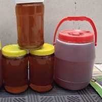 عسل  گون دماوند شیشه 900 گرمی خوش طعم و طبیعی