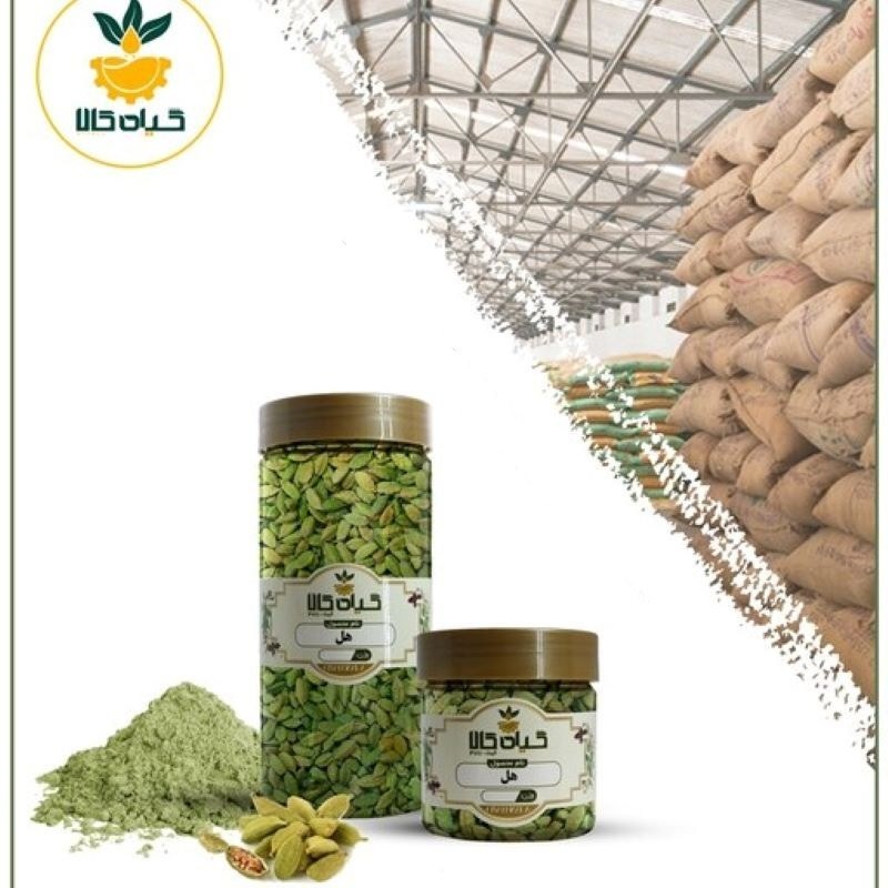 دانه هل، بار امسالی و تازه(750گرمی )