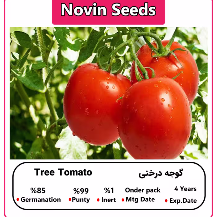 بذر گوجه درختی