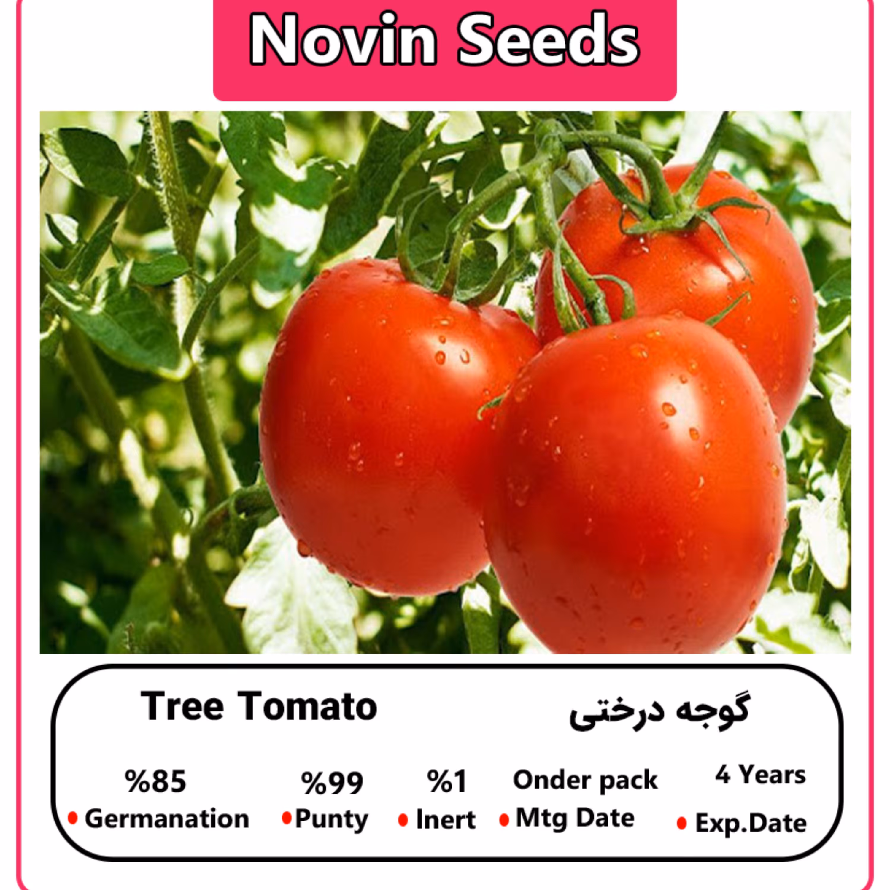 بذر گوجه درختی