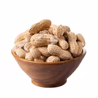 بادام زمینی برشته با پوست یک کیلویی عطاربانو