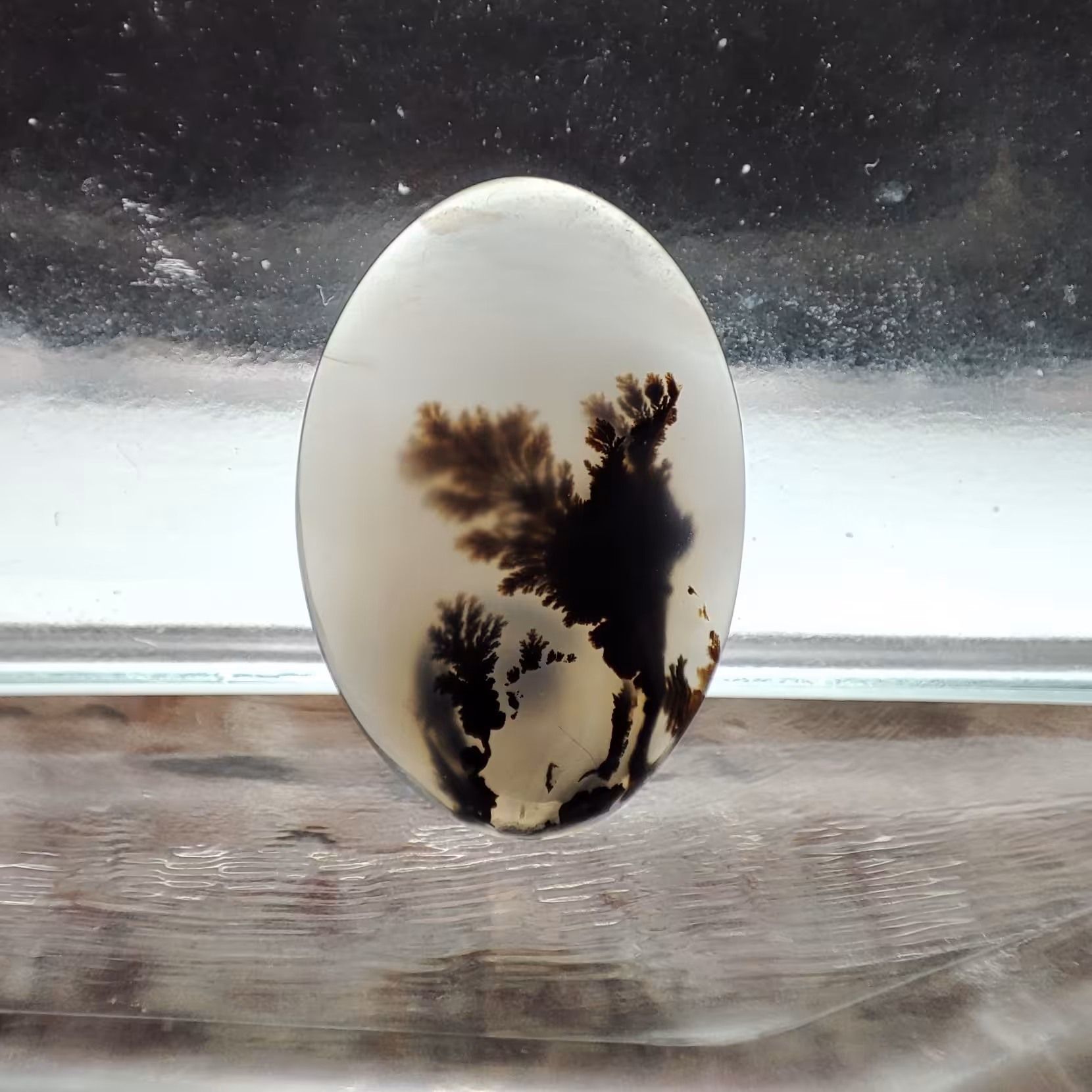 شجر قائن طبیعی و معدنی کد 548